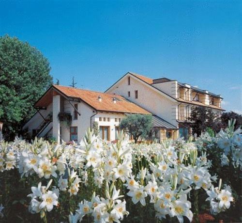 Ca' Delle Rose Castelfranco Vêneto Exterior foto